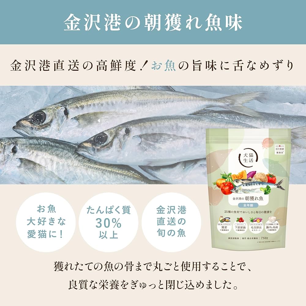 犬猫生活金沢港の朝獲れ魚:全年齢2個セット 犬猫生活金沢港の朝獲れ魚:全年齢2個セット Amazon |